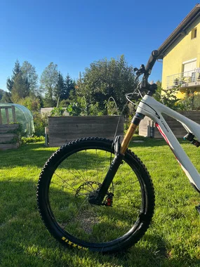 Orbea rallon