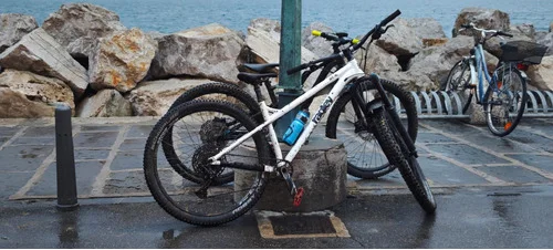 Ragley big al L 2023  hardcore hardtail