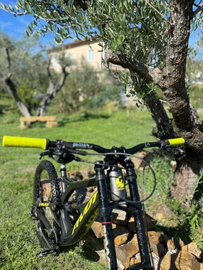 Pivot phonex