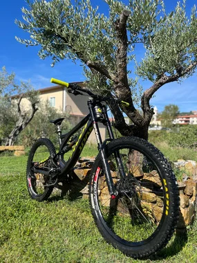 Pivot phonex