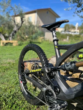 Pivot phonex