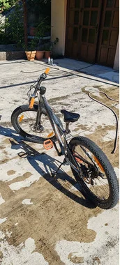Scott roxter 24