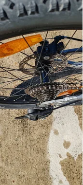 Scott roxter 24