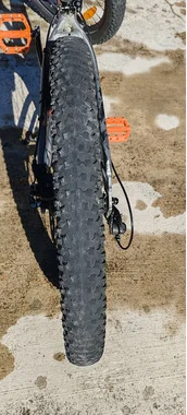 Scott roxter 24