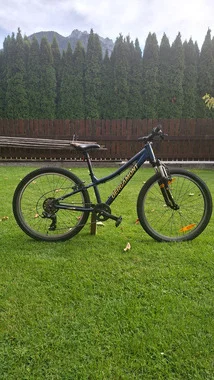 Bergamont 24inch