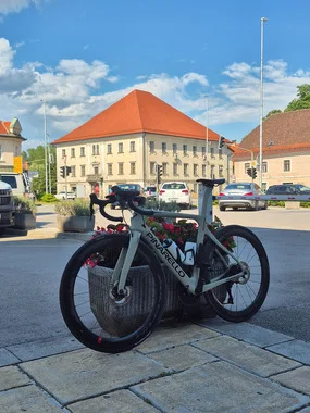 Cestno kolo Pinarello Paris - 105 Di2