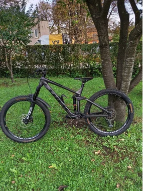 Trek Remndy 8