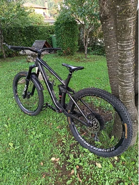 Trek Remndy 8