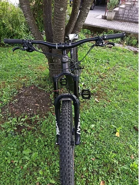 Trek Remndy 8