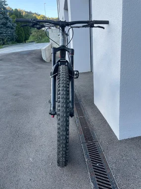 Trek Remedy 7