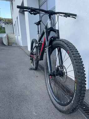 Trek Remedy 7
