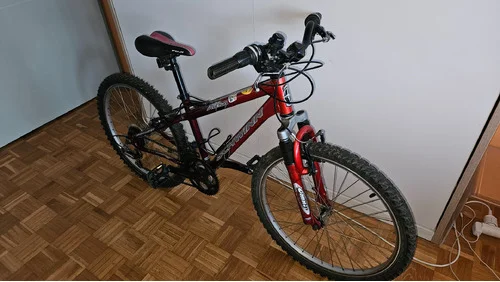 Schwinn 24