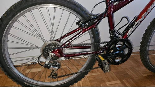Schwinn 24