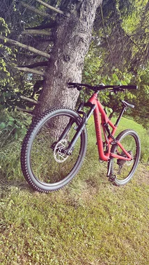 Specialized Stumpjumper Alloy gorsko kolo 2024 Satin Red Wood/Rusted Red – S3