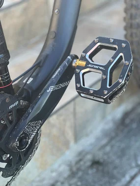GIANT REIGN 2020 XL