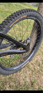 Phoenix Pro Saint S3 2026