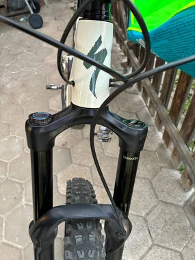 SPECIALIZED ENDURO ELITE S4 2020