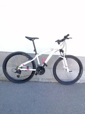 Rockrider ST100