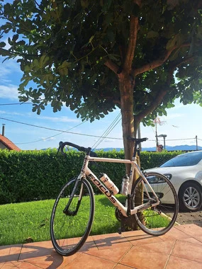 Focus XXL carbon / Shimano 105 / 1000 km