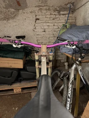 SPECIALIZED DOWNHILL 2011