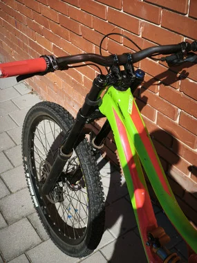 Spezialized Demo 8 (Downhill)