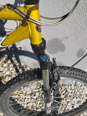 Gorsko kolo Schwinn