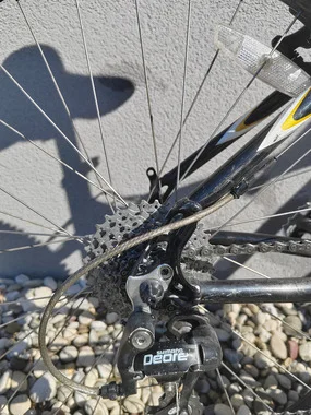 Gorsko kolo Schwinn