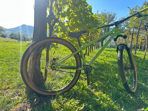 Norco Dirtbike