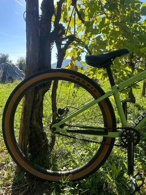 Norco Dirtbike