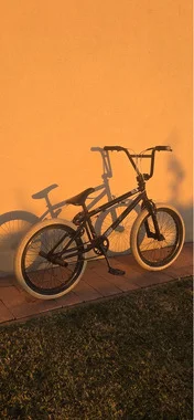 SIBMX