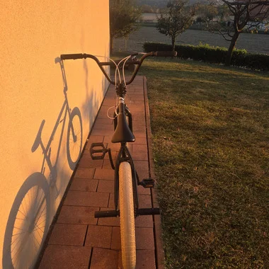 SIBMX