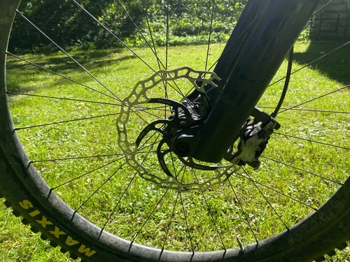 Orbea Rallon M10 2022