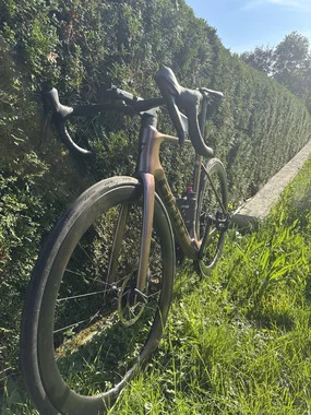Giant Propel Advanced 1