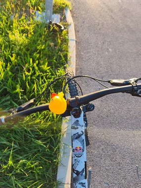 Specialized Enduro Comp 2023