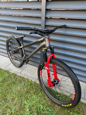 Specialized p.3 Dirt Custom